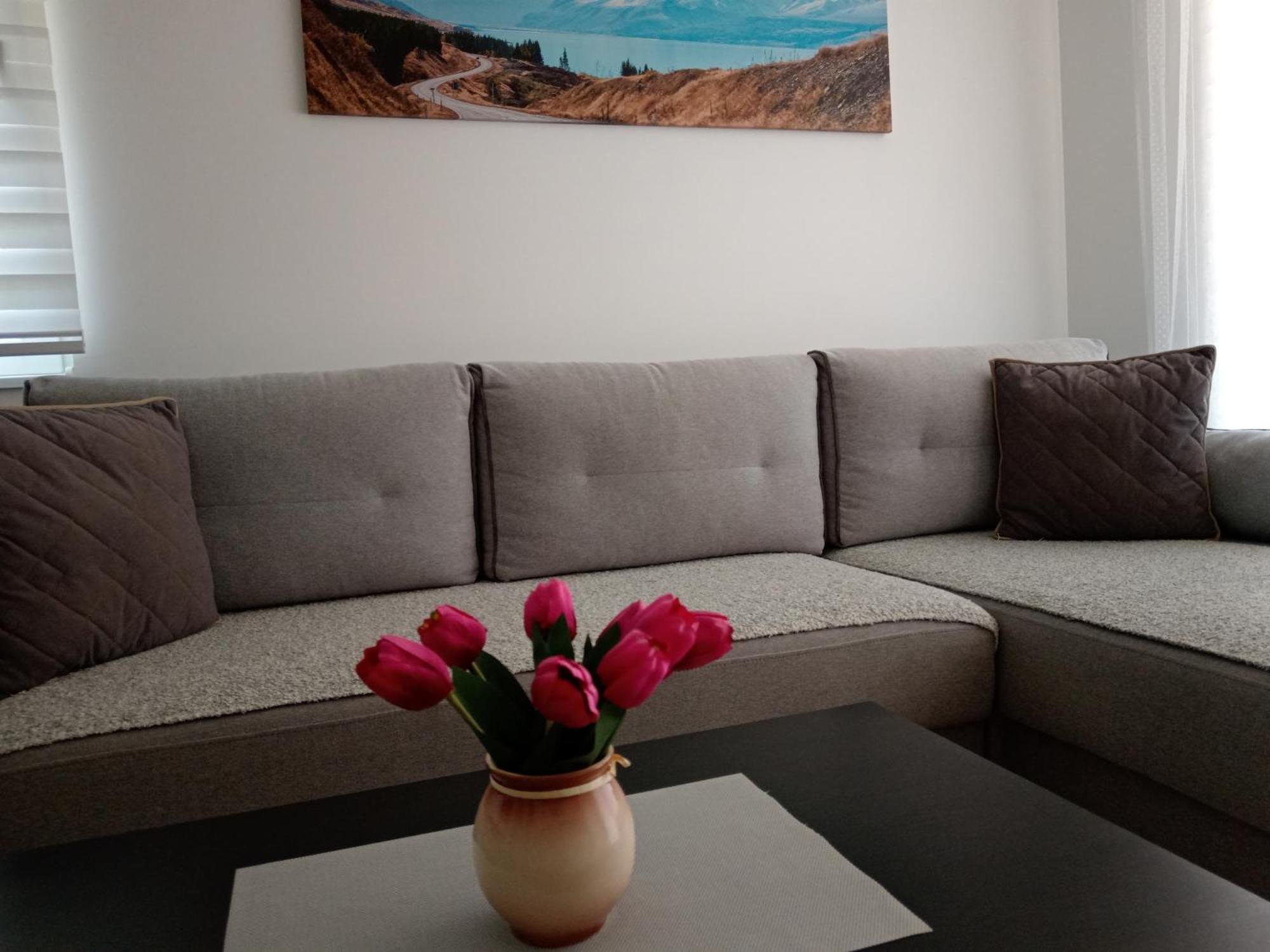 Apartmán Mk Zlatibor Exteriér fotografie